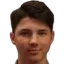 Aldin mesic