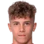 Laurentiu vlasceanu