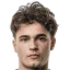 Vinicius Faloni