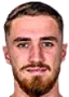 Ivan Krajcirik