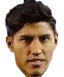 Luis Segovia