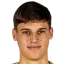 Niko Šepić