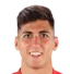 Raul Torrente Navarro