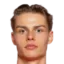 Jens Hjerto Dahl