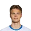 natan niedzwiedz