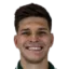 Pedro Henrique Perotti