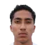 Williams Aldair·Guzman Vargas