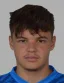 Denis dizdarevic