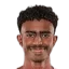 Ibrahim Mohammed Al-Hassan