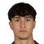 Sanel Saljic