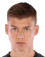 Lukas Malicsek