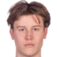 Mattis karis