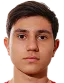 tigran gevorgyan