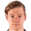 Raiko ilves