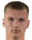 nikolay sotnikov
