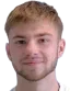 borna panic