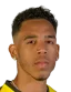 Pedro Vitor Ferreira da Silva
