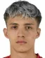 davud arnautovic