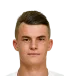 Vladyslav Kochergin