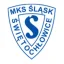 MKS Slask Swietochlowice