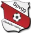 SpVgg Hankofen-Hailing