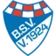 Brinkumer SV