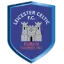 Leicester Celtic