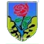 ASD Seravezza Calcio
