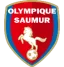 Saumur OL