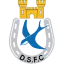 Dungannon Swifts