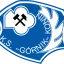 Gornik Konin