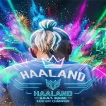 Mô Hình Kinh Doanh Và Sức Hút Thương Mại Của Giải Đấu Esports EA