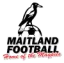 Maitland