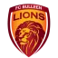 FC Bulleen Lions