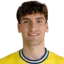 Diego Percan