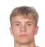 Niklas Vesterlund