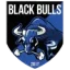 Black Bulls