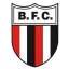 Botafogo-SP Youth
