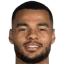 Cody Gakpo