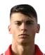 Brooklyn Borg