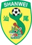 Shanwei Team