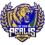 Perlis GSA FC