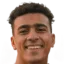 Mahmoud Ali Sayed Elaraby