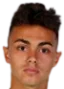 Andres Brinzea