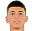 Luca Lipani