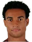 Alessandro Marcandalli