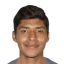 Carlos Gamarra