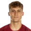 Stefano Piccinini