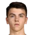 Noah Botic