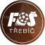 FS Trebic